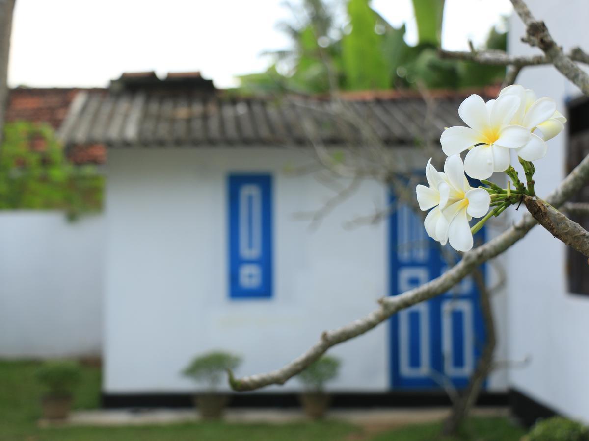 Blooming Polhena Exterior foto